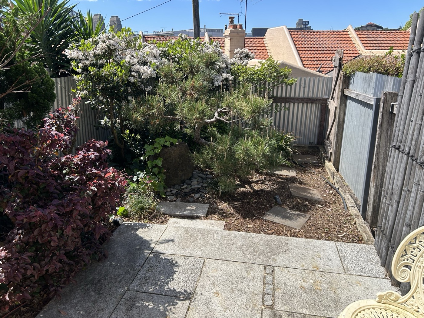 After - Garden Cleanup