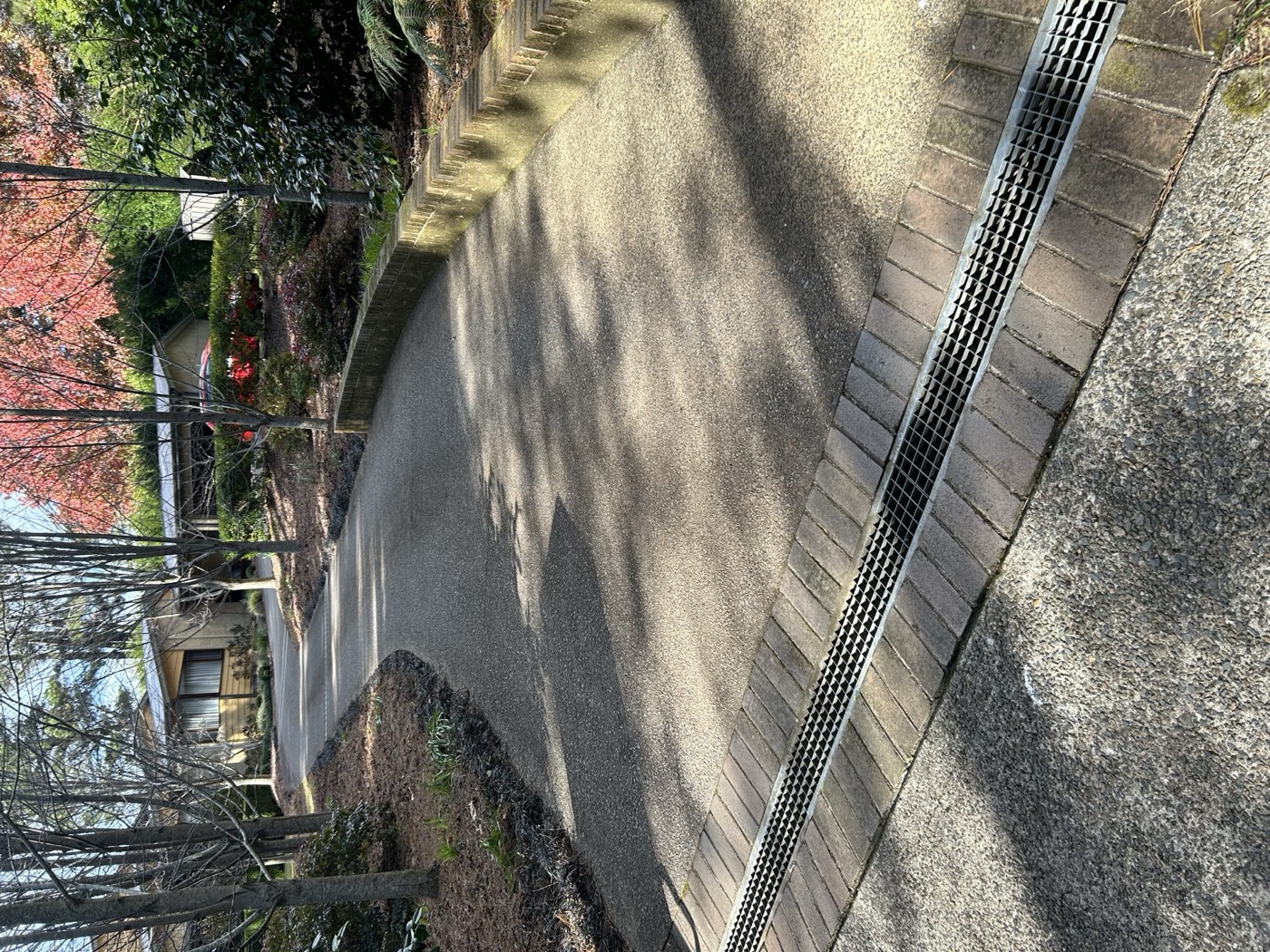 Before - Path Pressure Wash